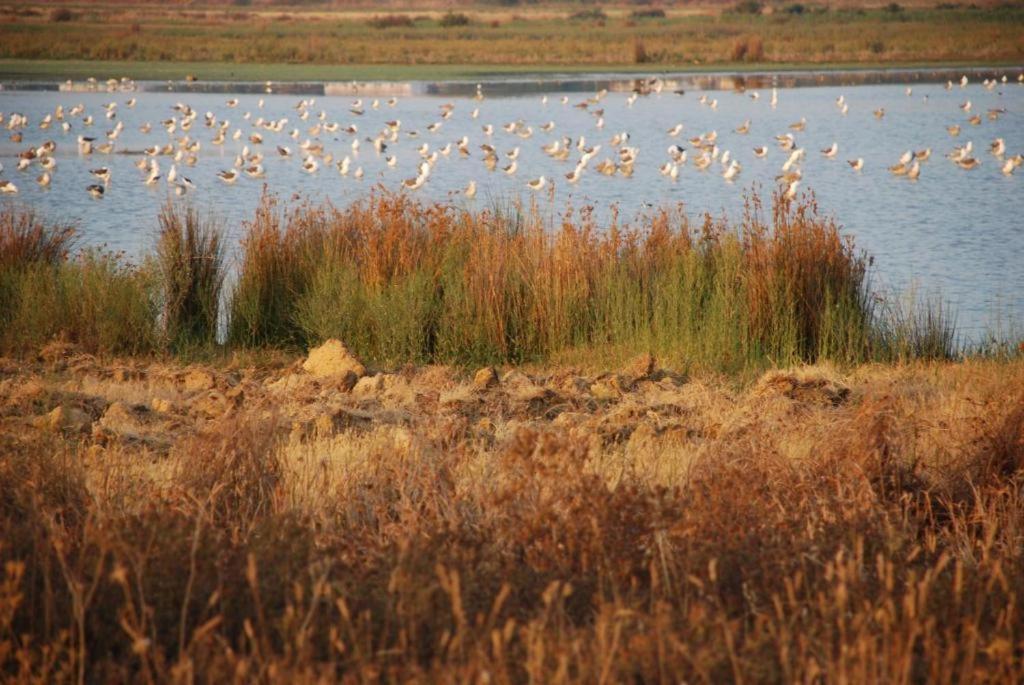 Salgados - Vila Das Lagoas Guia  Dış mekan fotoğraf